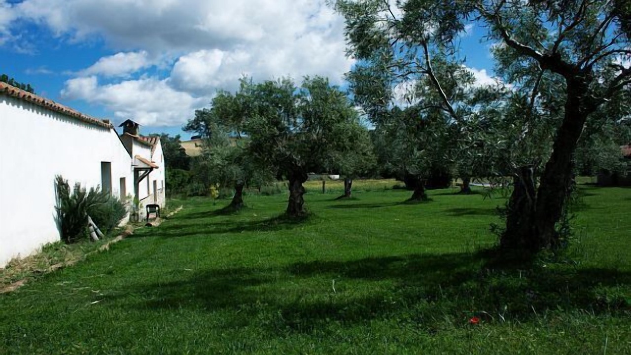 Photo of Outdoor in Fuente de Cantos