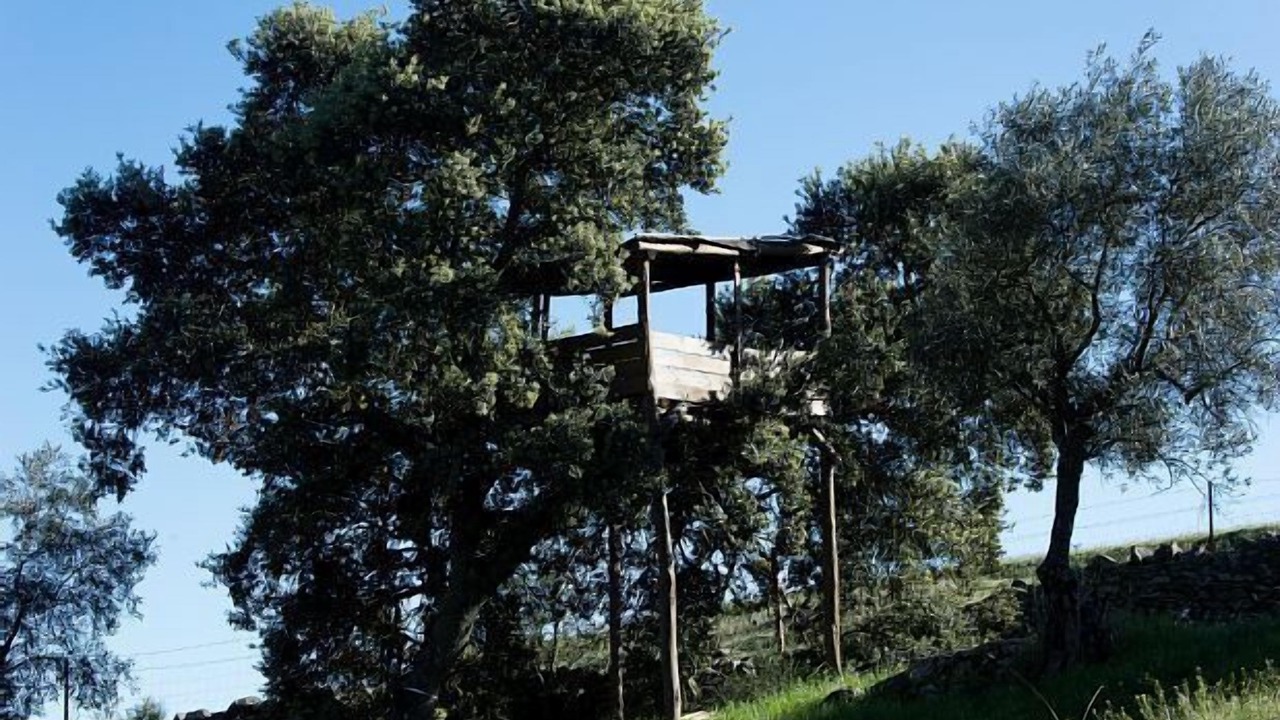 Photo of Outdoor in Fuente de Cantos