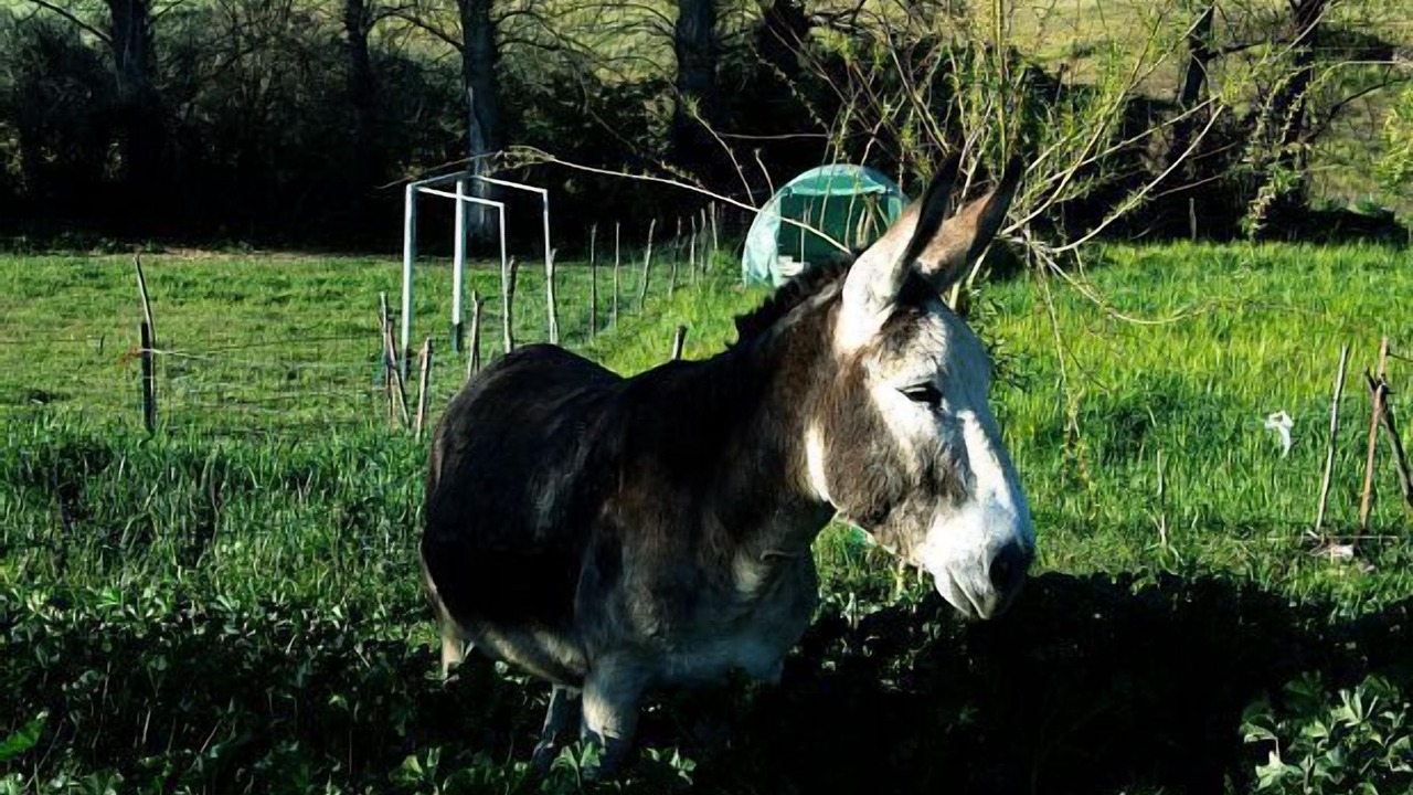 Photo of Outdoor in Fuente de Cantos