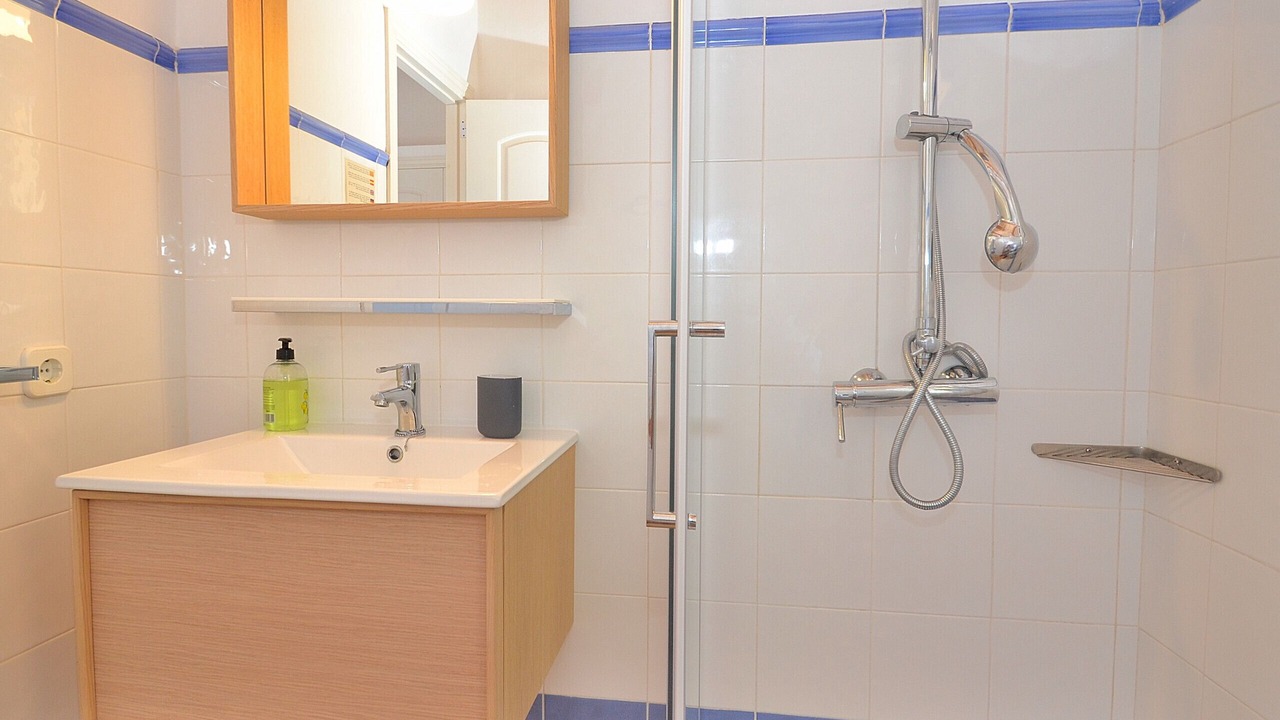 Photo of Bathroom in Urbanizacion S'Estanyol