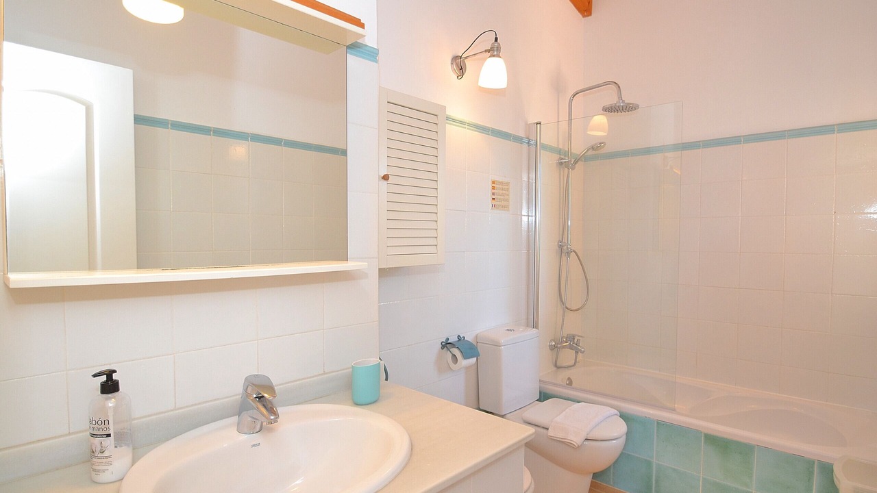 Photo of Bathroom in Urbanizacion S'Estanyol