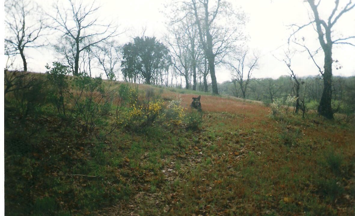 Photo of Outdoor in Villamiel