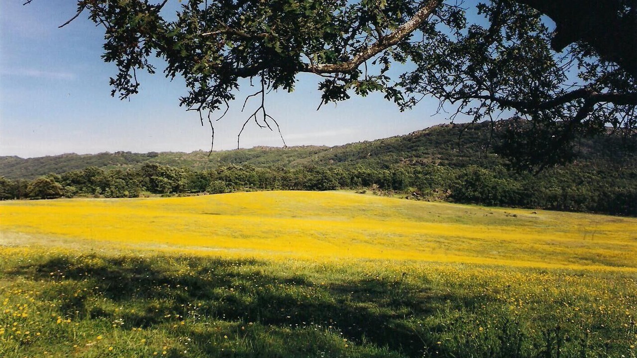 Photo of Others in Villamiel