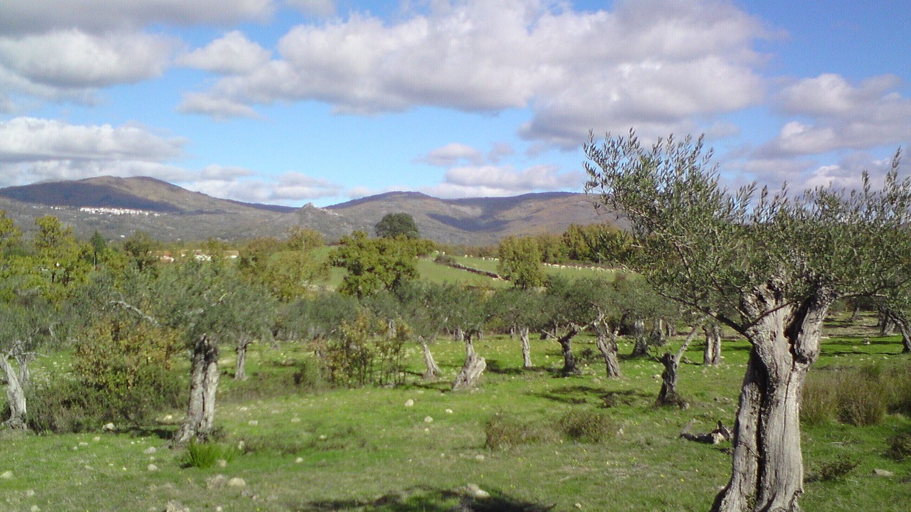 Photo of Outdoor in Villamiel