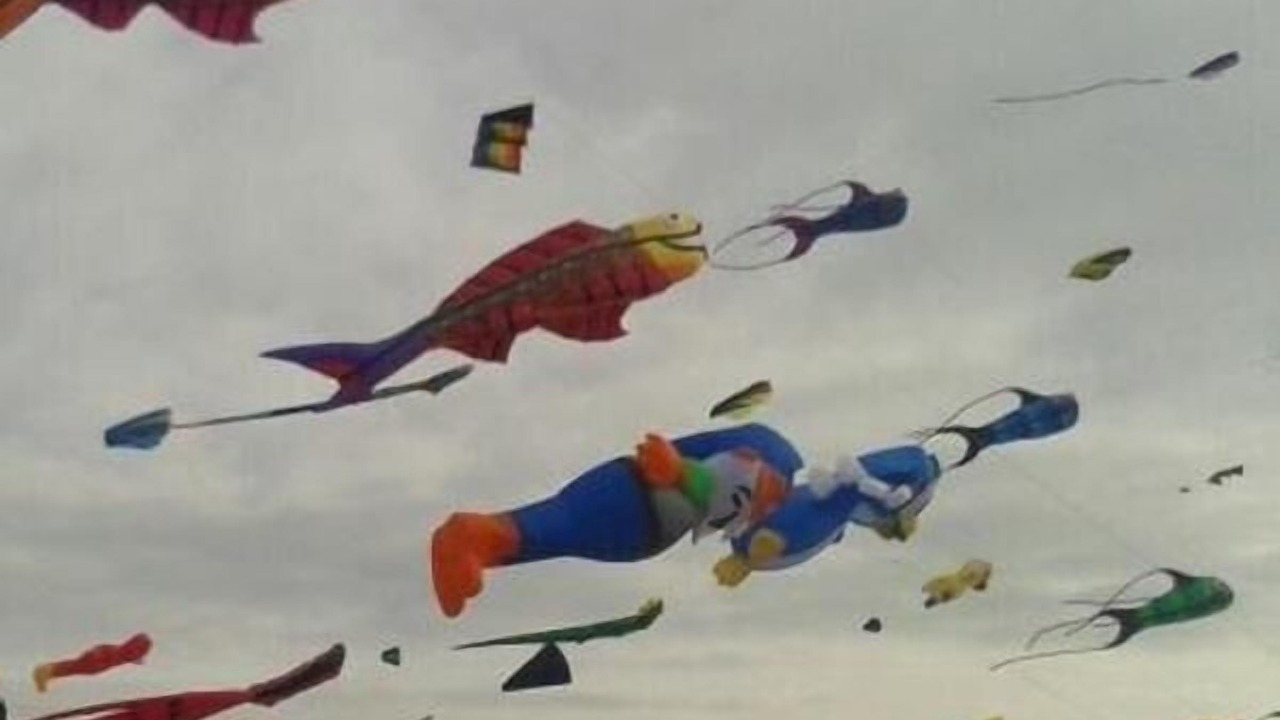Photo of Others in Oldenburg in Holstein