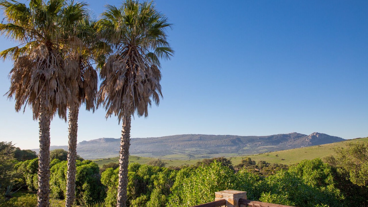 Photo of Outdoor in Bolonia