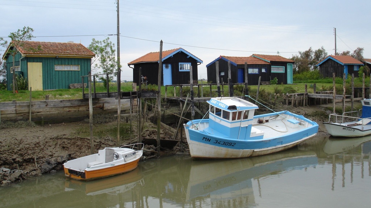 Photo of Others in Saintes
