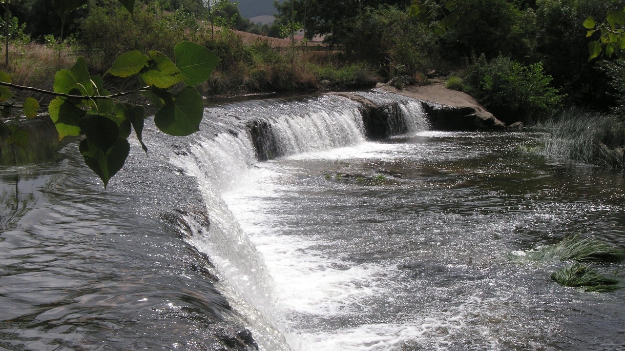 Photo of Others in Pobes