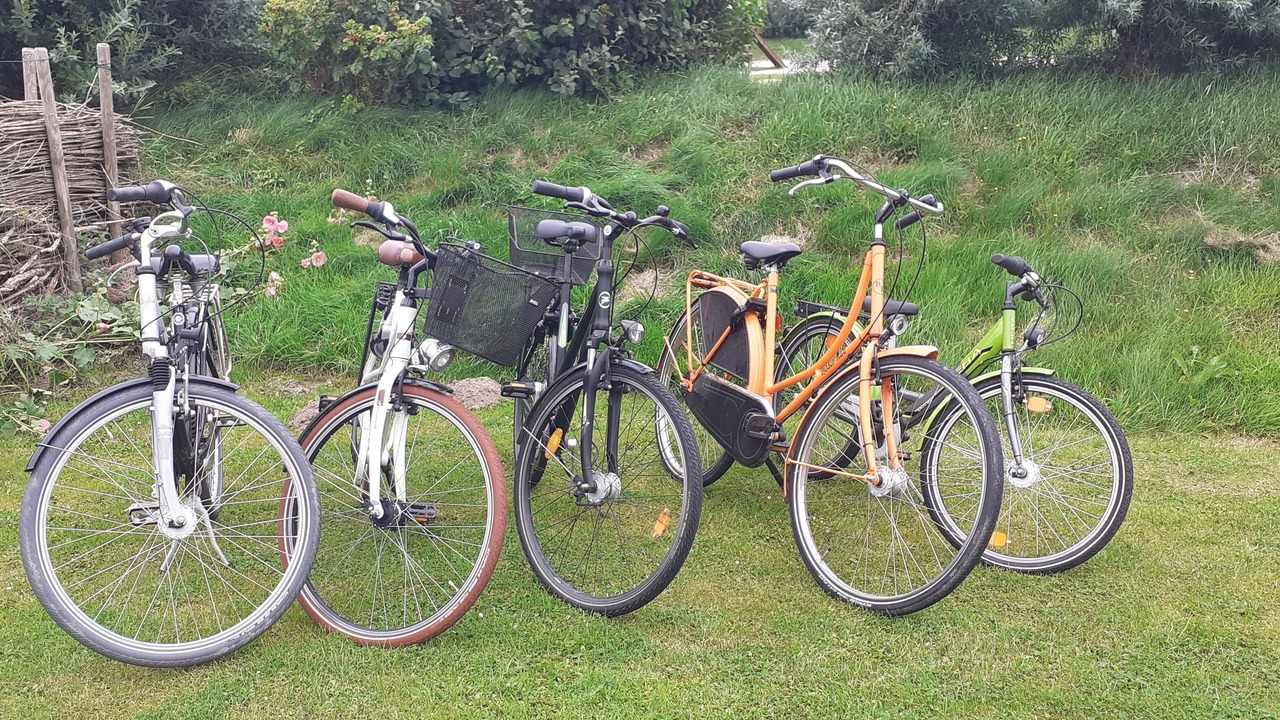 Photo of Outdoor in Wesselburenerkoog