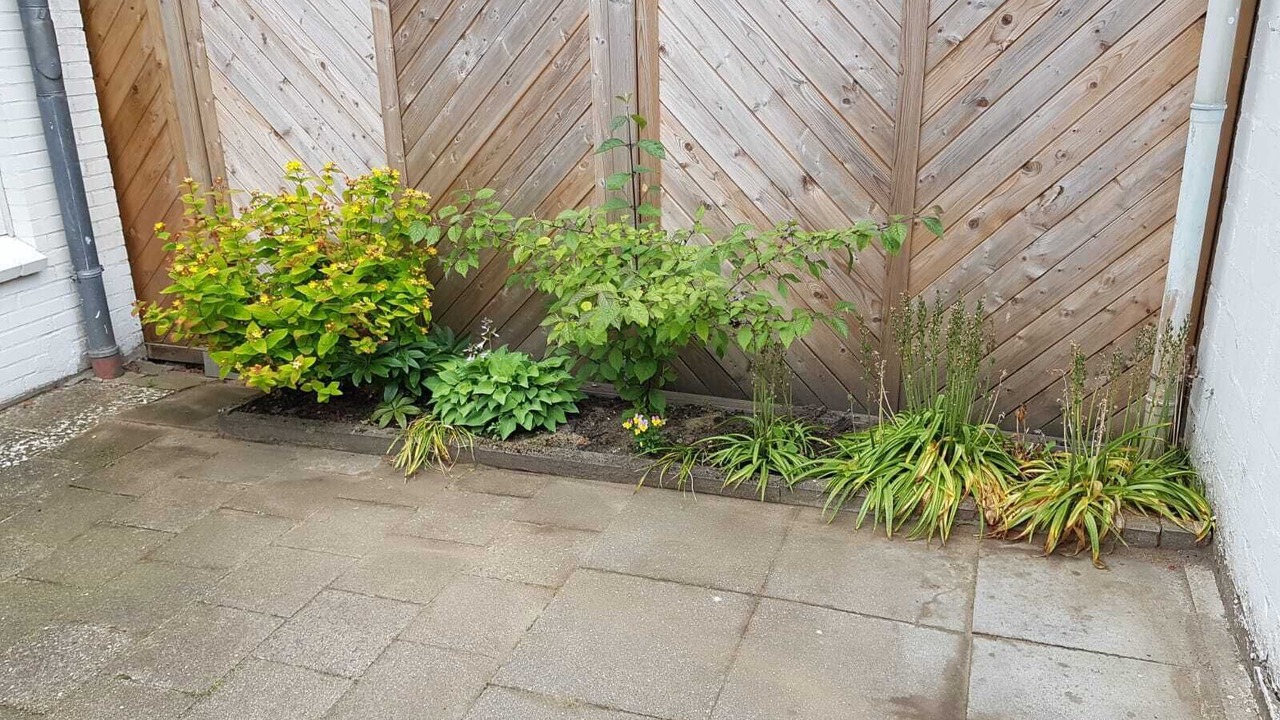 Photo of Outdoor in Friedrichstadt