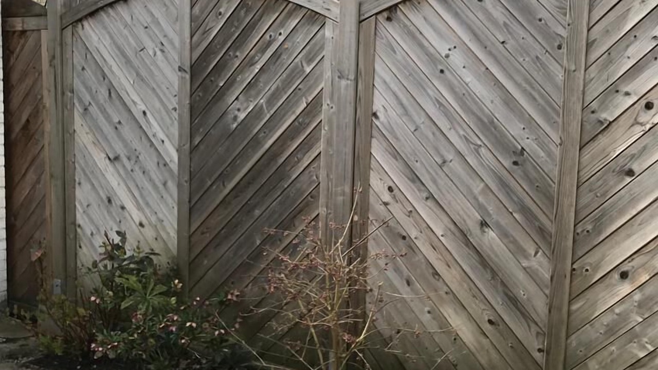 Photo of Outdoor in Friedrichstadt
