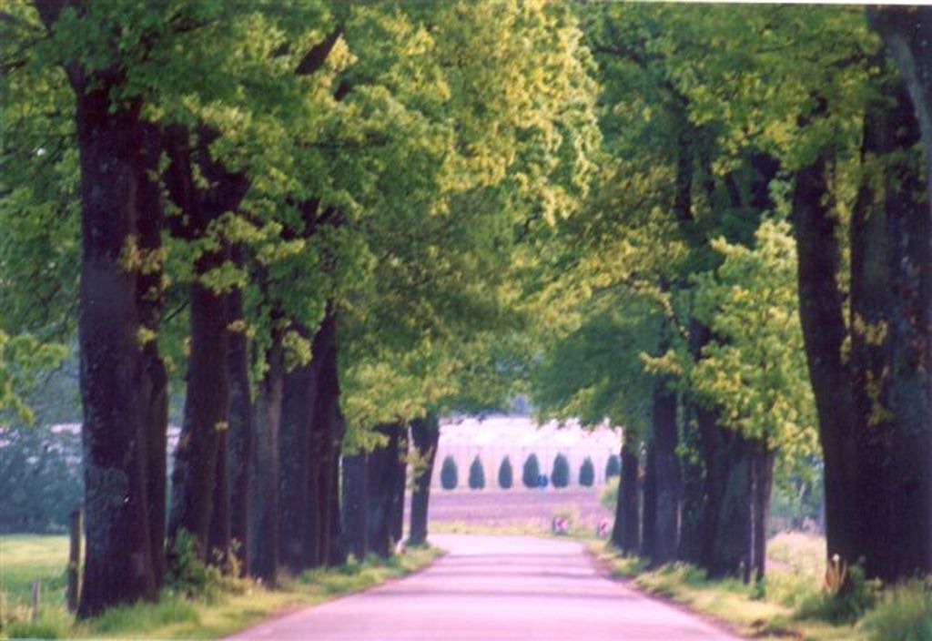 Photo of Others in Nordenholz