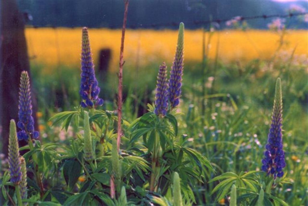 Photo of Outdoor in Nordenholz