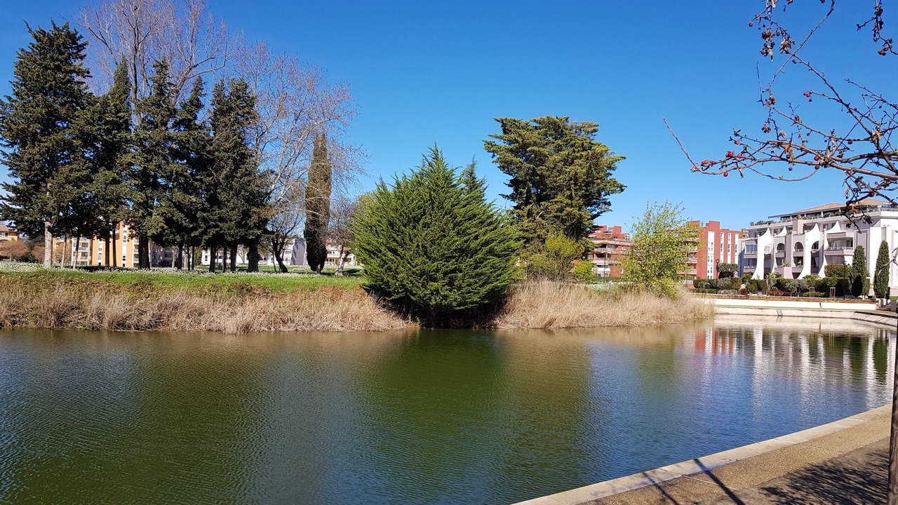 Photo of Outdoor in Port Ariane