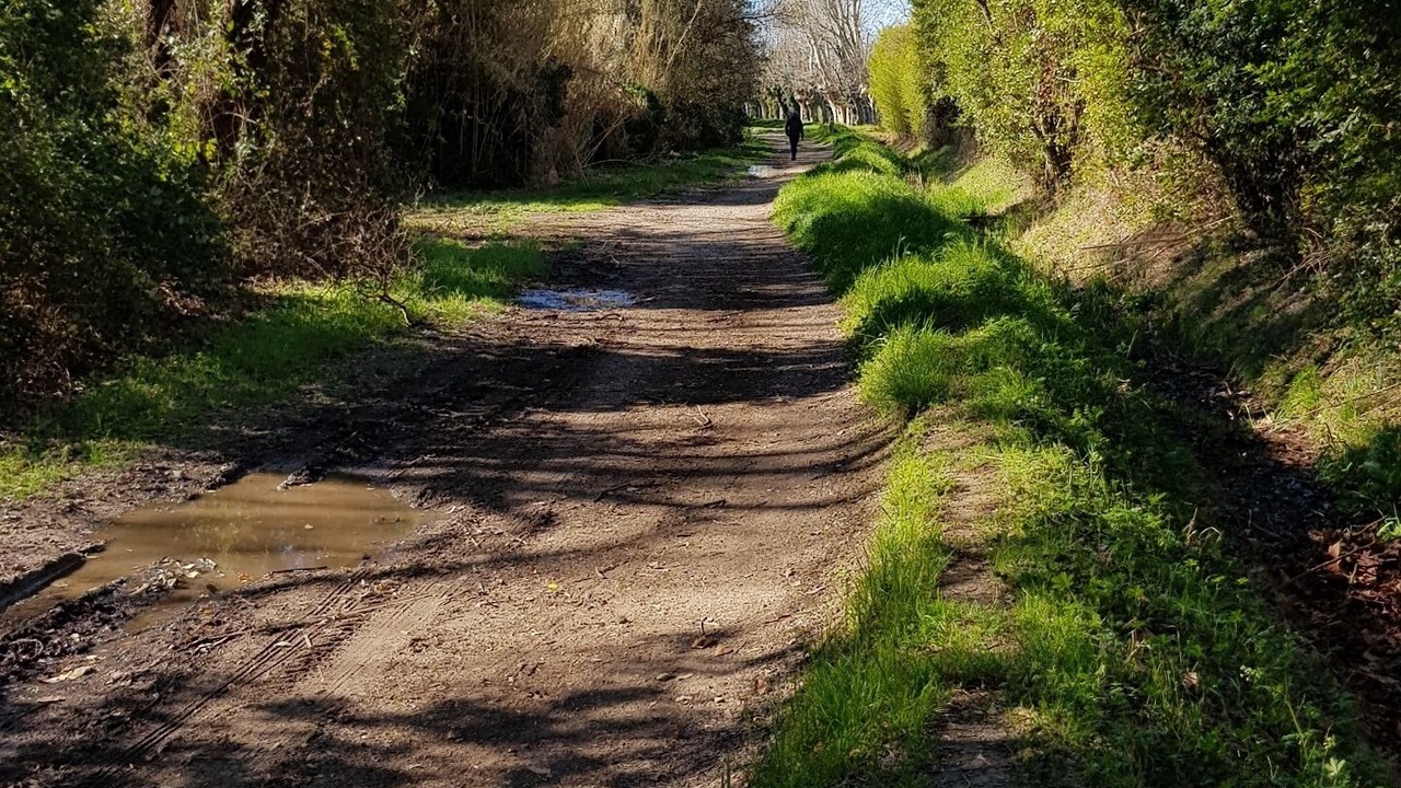 Photo of Outdoor in Port Ariane