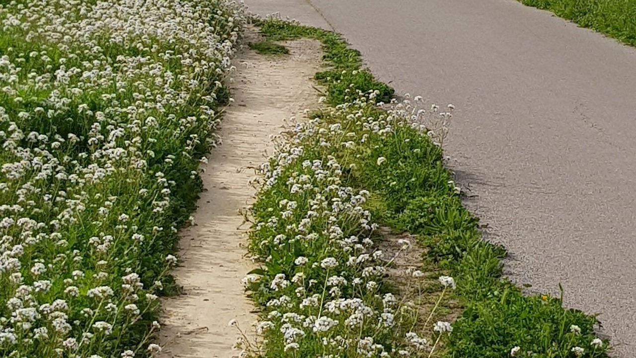 Photo of Outdoor in Port Ariane