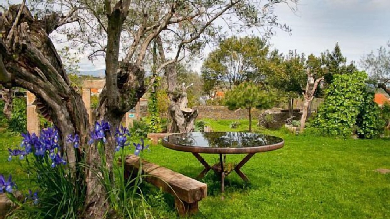 Photo of Outdoor in Malpartida de Plasencia