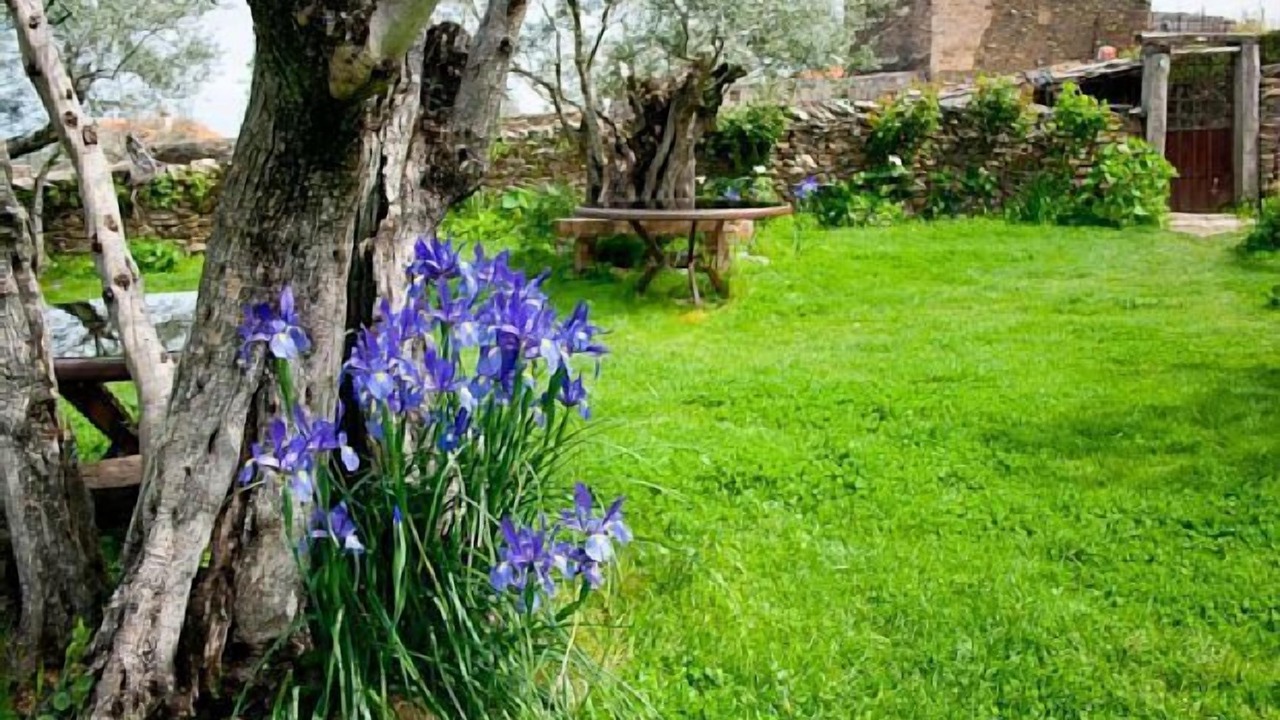 Photo of Outdoor in Malpartida de Plasencia