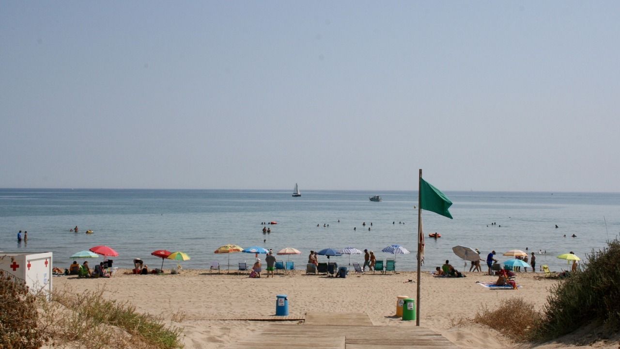 Photo of Others in Oliva