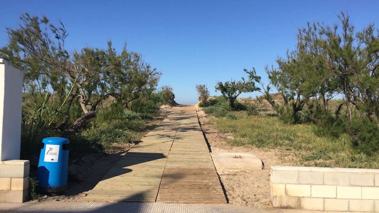 Photo of Outdoor in Oliva