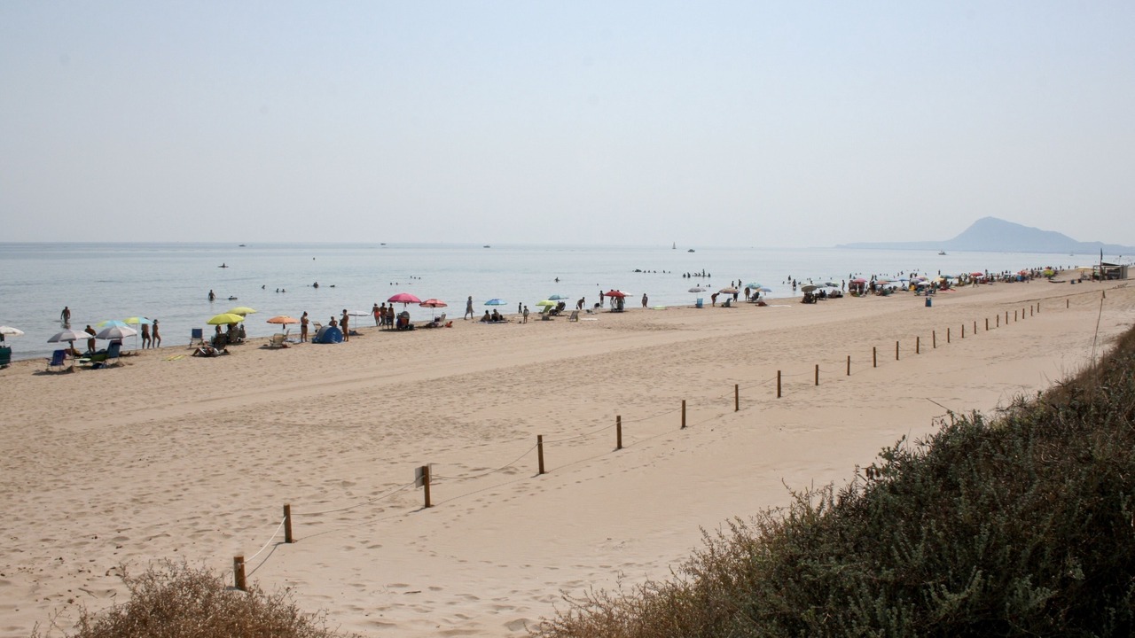 Photo of Others in Oliva