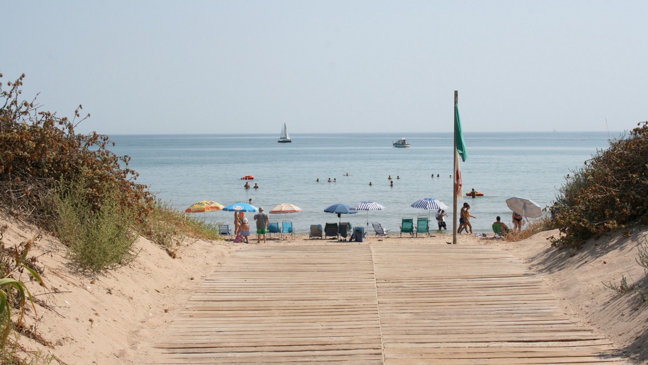 Photo of Others in Oliva