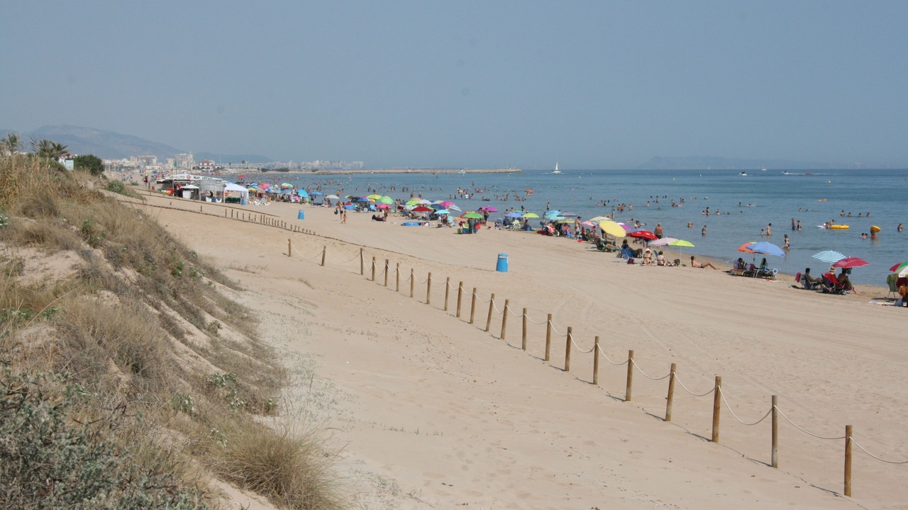 Photo of Others in Oliva