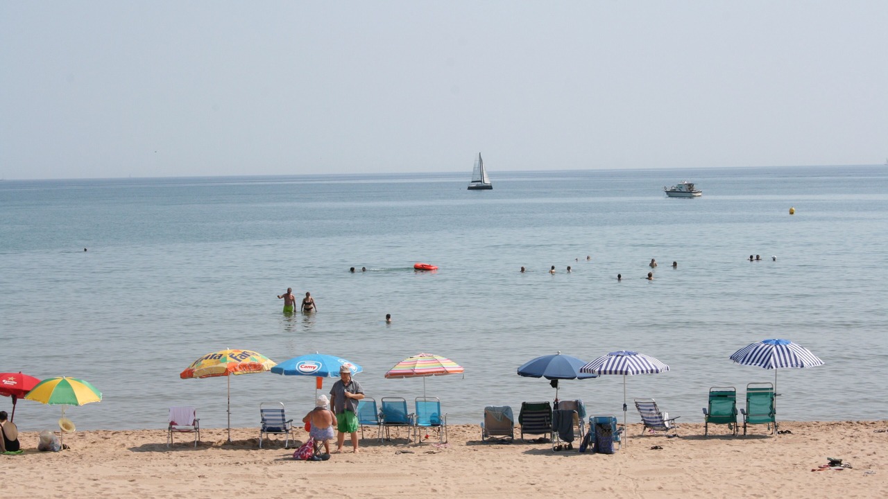 Photo of Others in Oliva