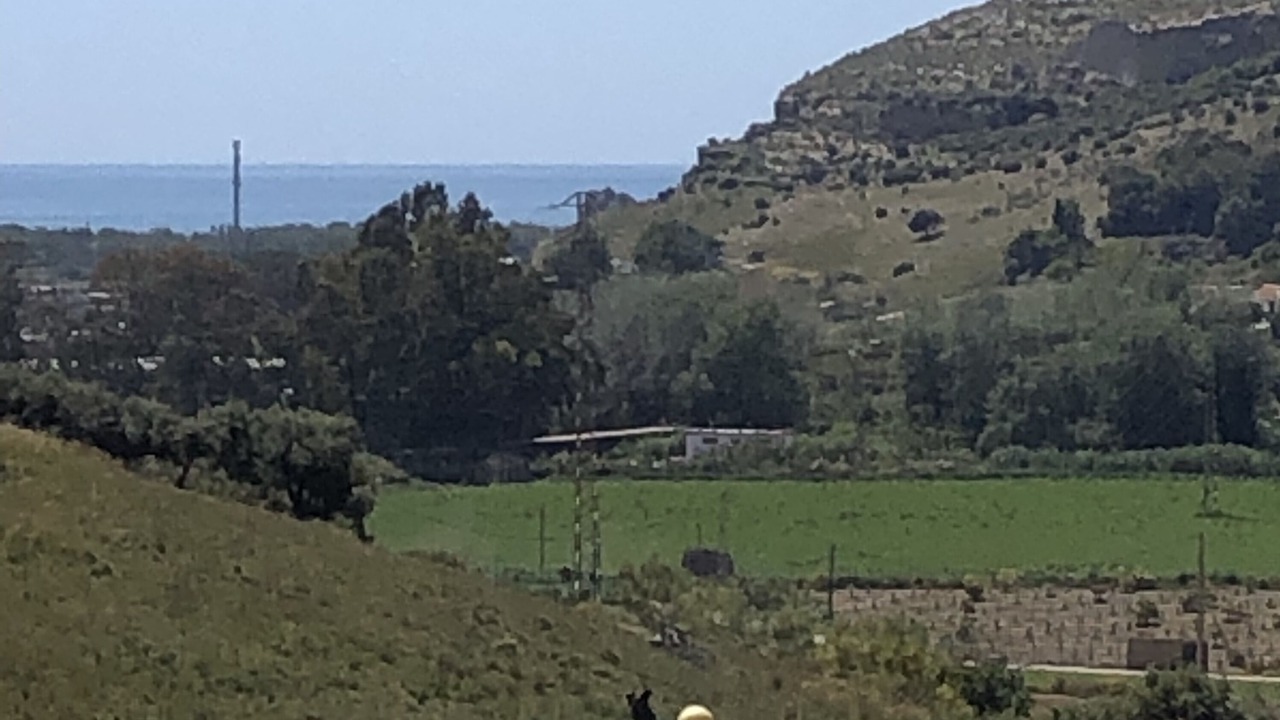 Photo of Others in Torre del Mar