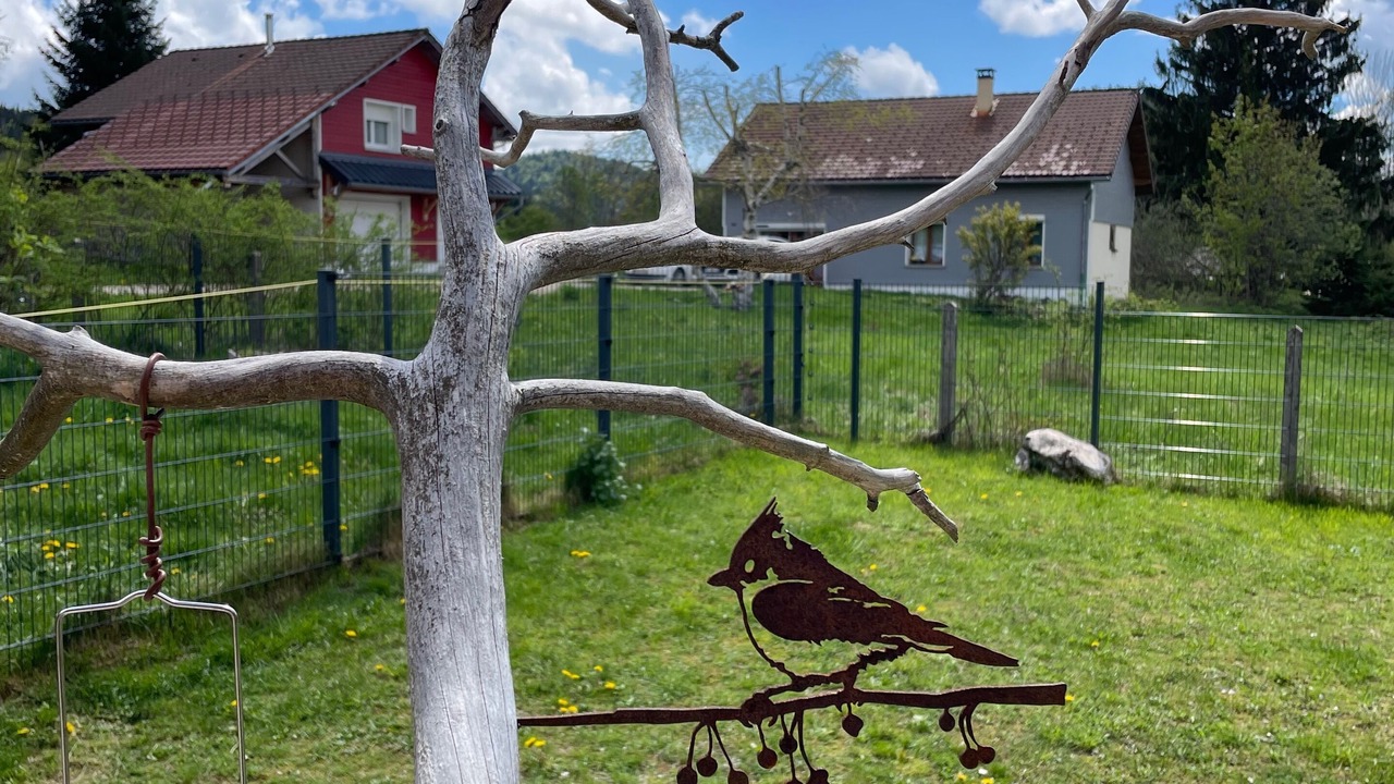 Photo of Outdoor in La Pesse
