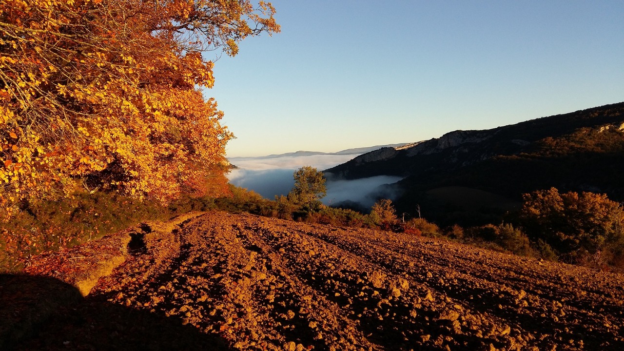 Photo of Outdoor in Ahedo del Butron