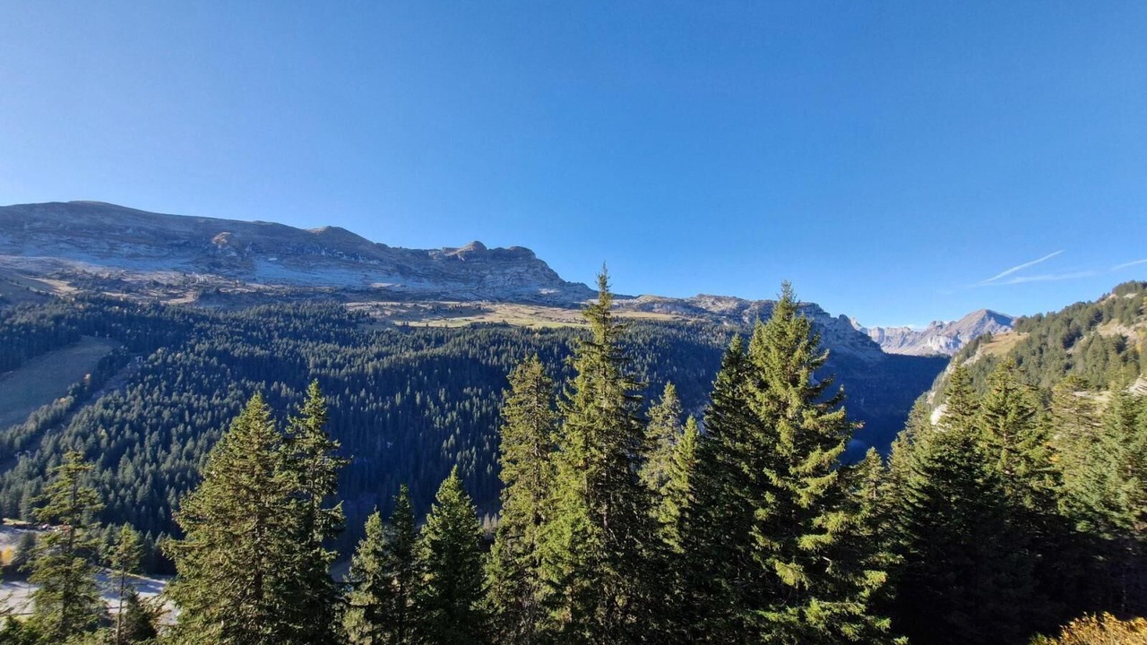 Photo of Others in Flaine