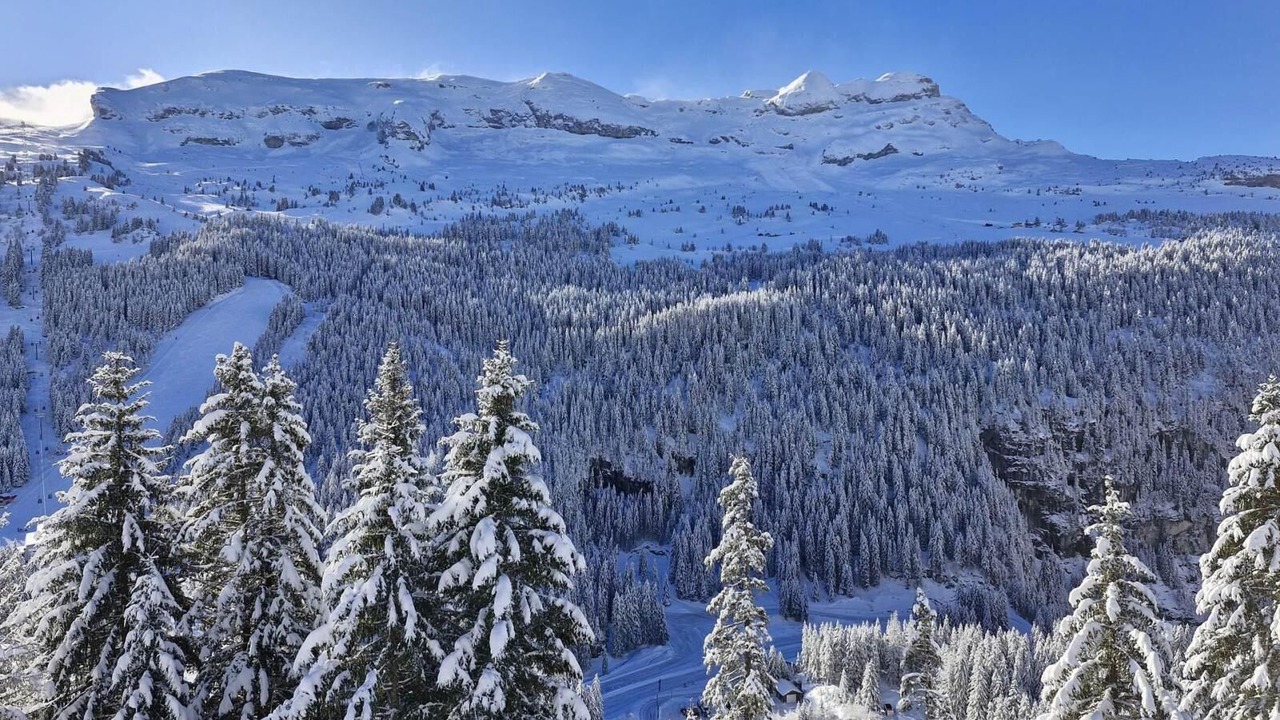 Photo of Others in Flaine