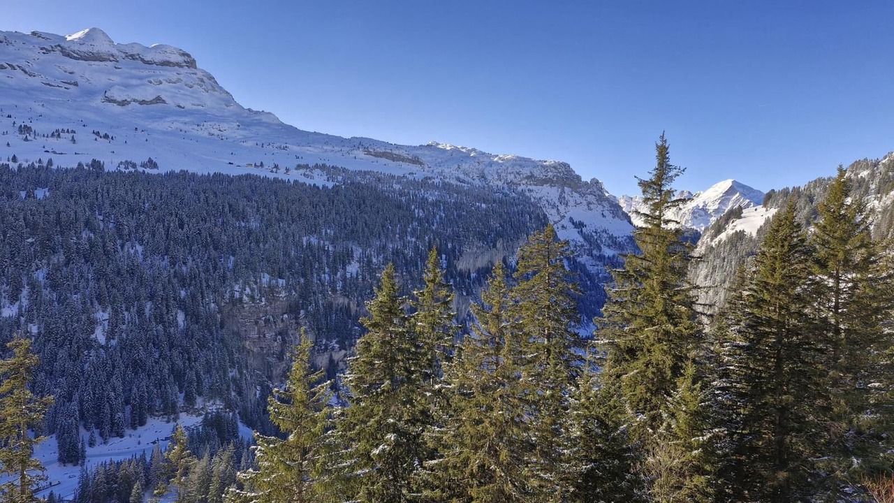 Photo of Others in Flaine
