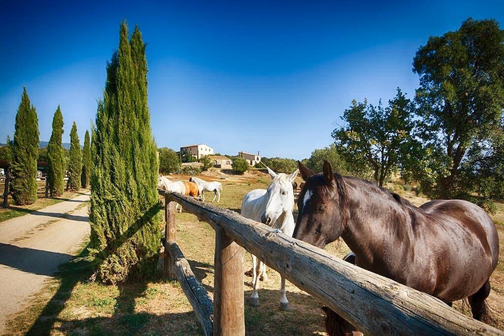 Photo of Outdoor in Agullana