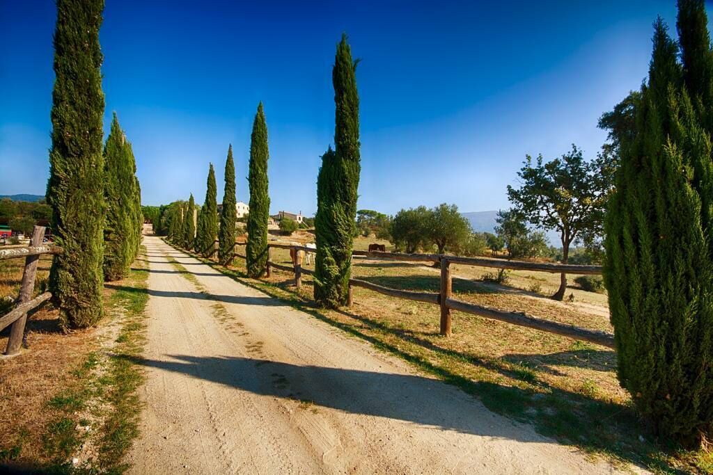 Photo of Outdoor in Agullana
