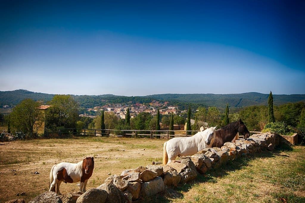 Photo of Outdoor in Agullana