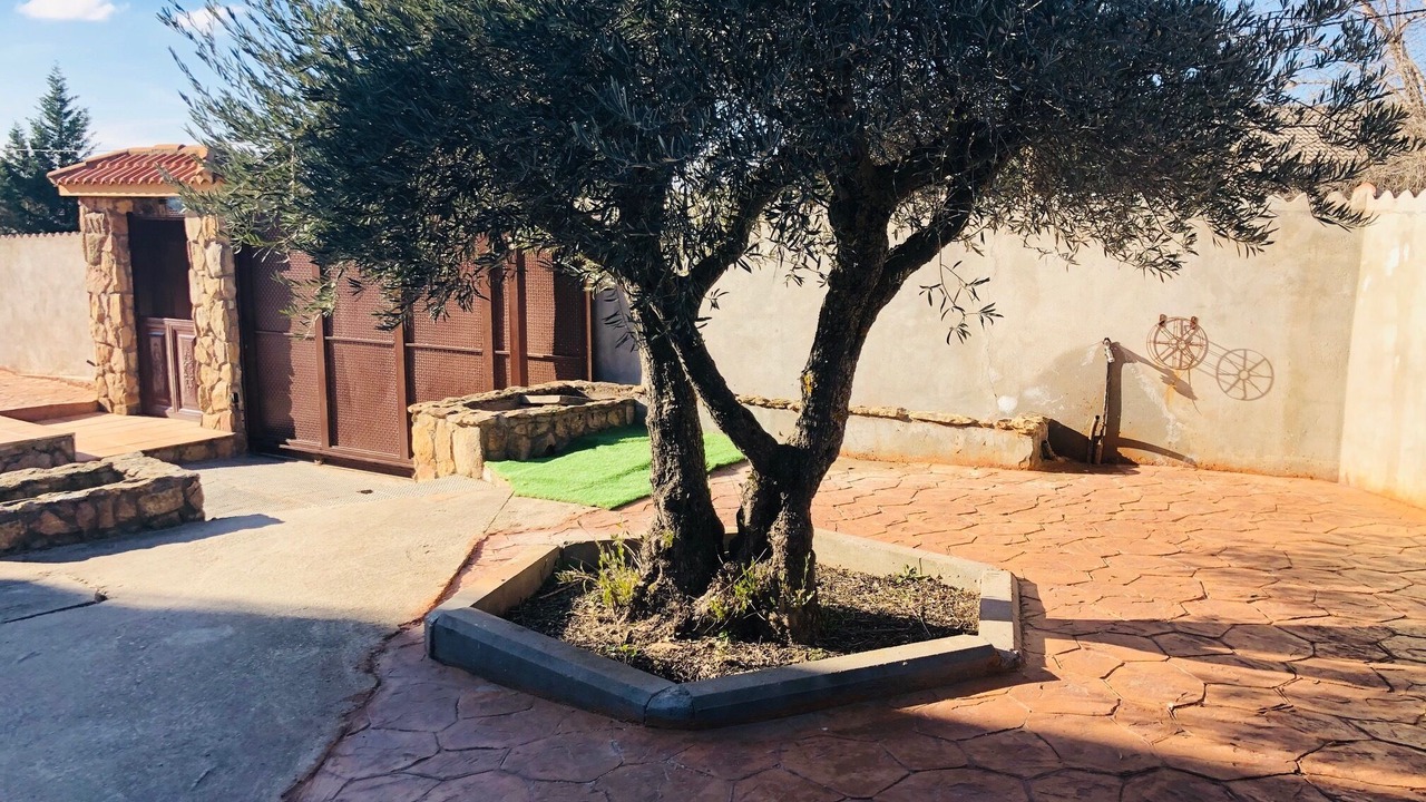 Photo of Outdoor in Navas de San Antonio