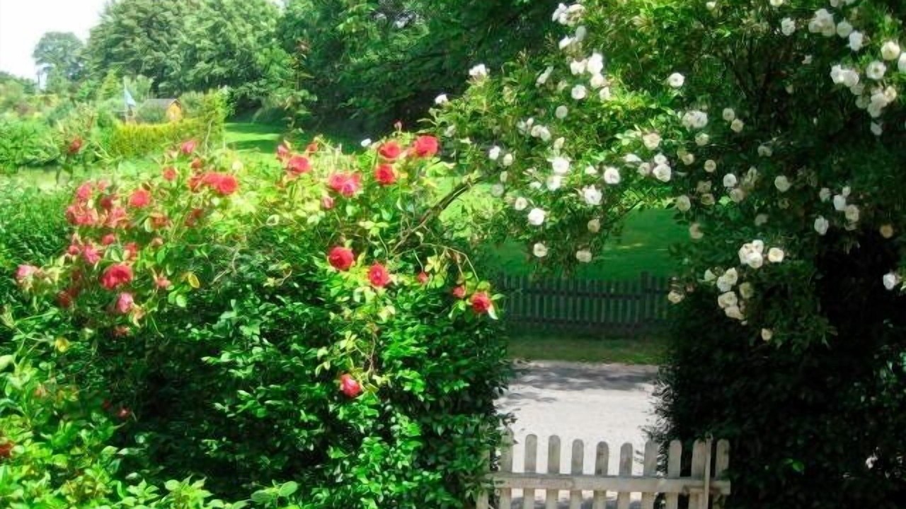 Photo of Outdoor in Goosefeld