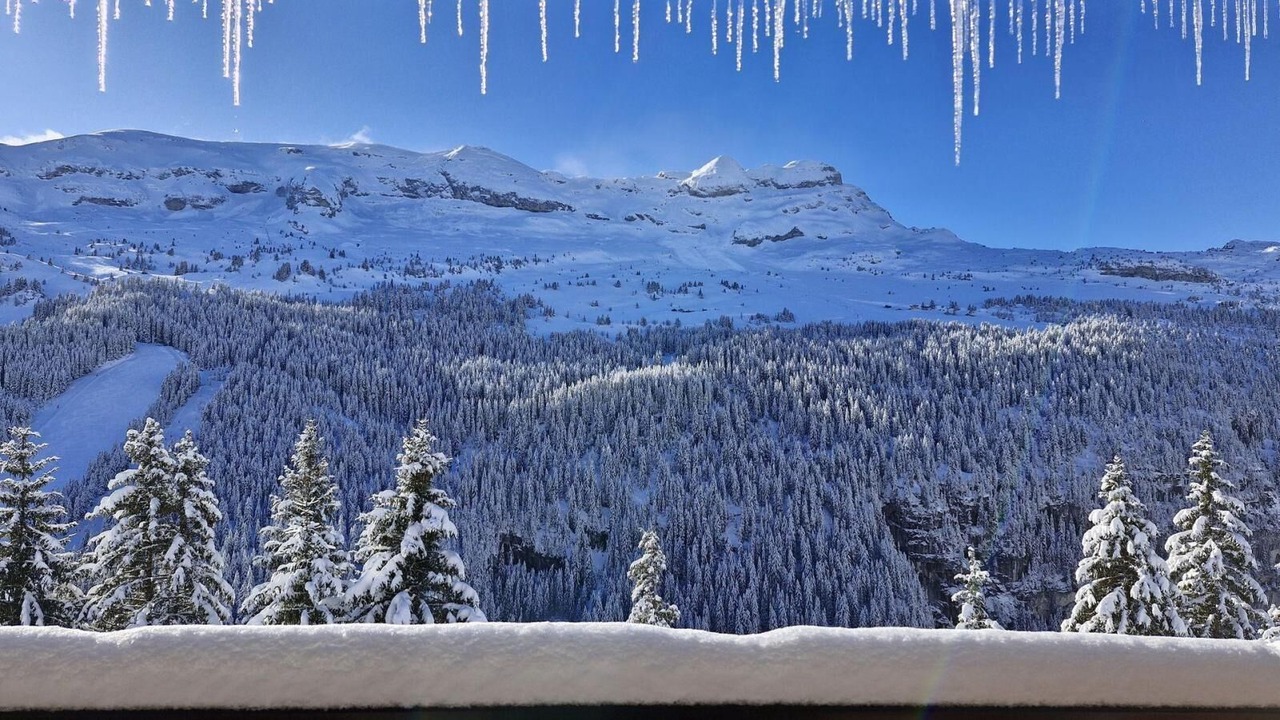 Photo of Others in Flaine