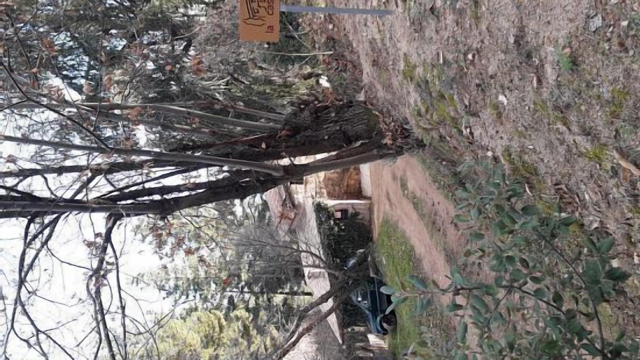 Photo of Outdoor in Sant Hilari Sacalm