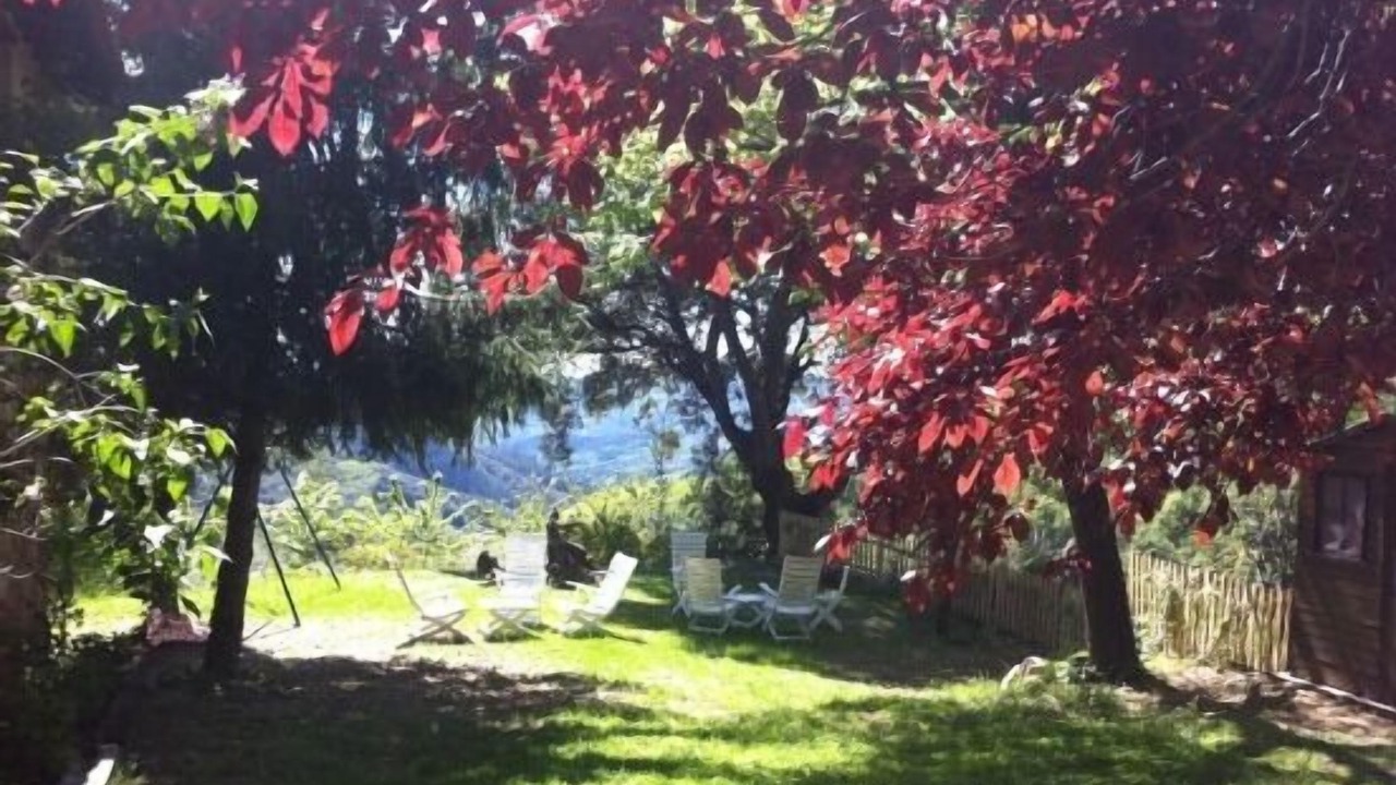 Photo of Outdoor in Sant Hilari Sacalm