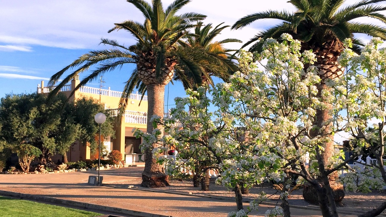Photo of Outdoor in Peniscola