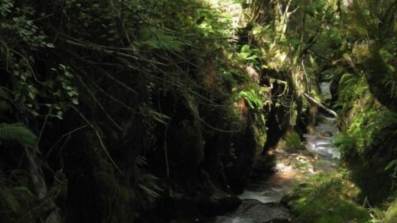 Photo of Outdoor in Montes de Valdueza