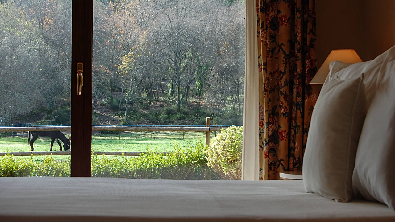 Photo of Bedroom in Arenas de San Pedro