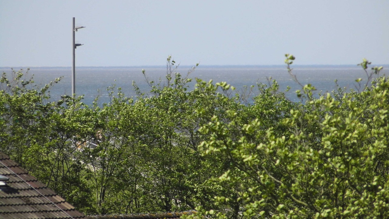 Photo of Others in Busum