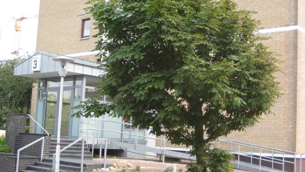 Photo of Outdoor in Busum