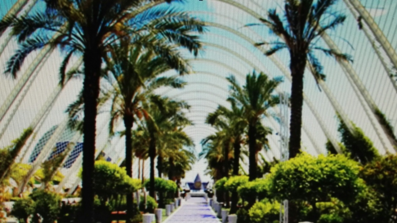 Photo of Outdoor in L'Olivereta