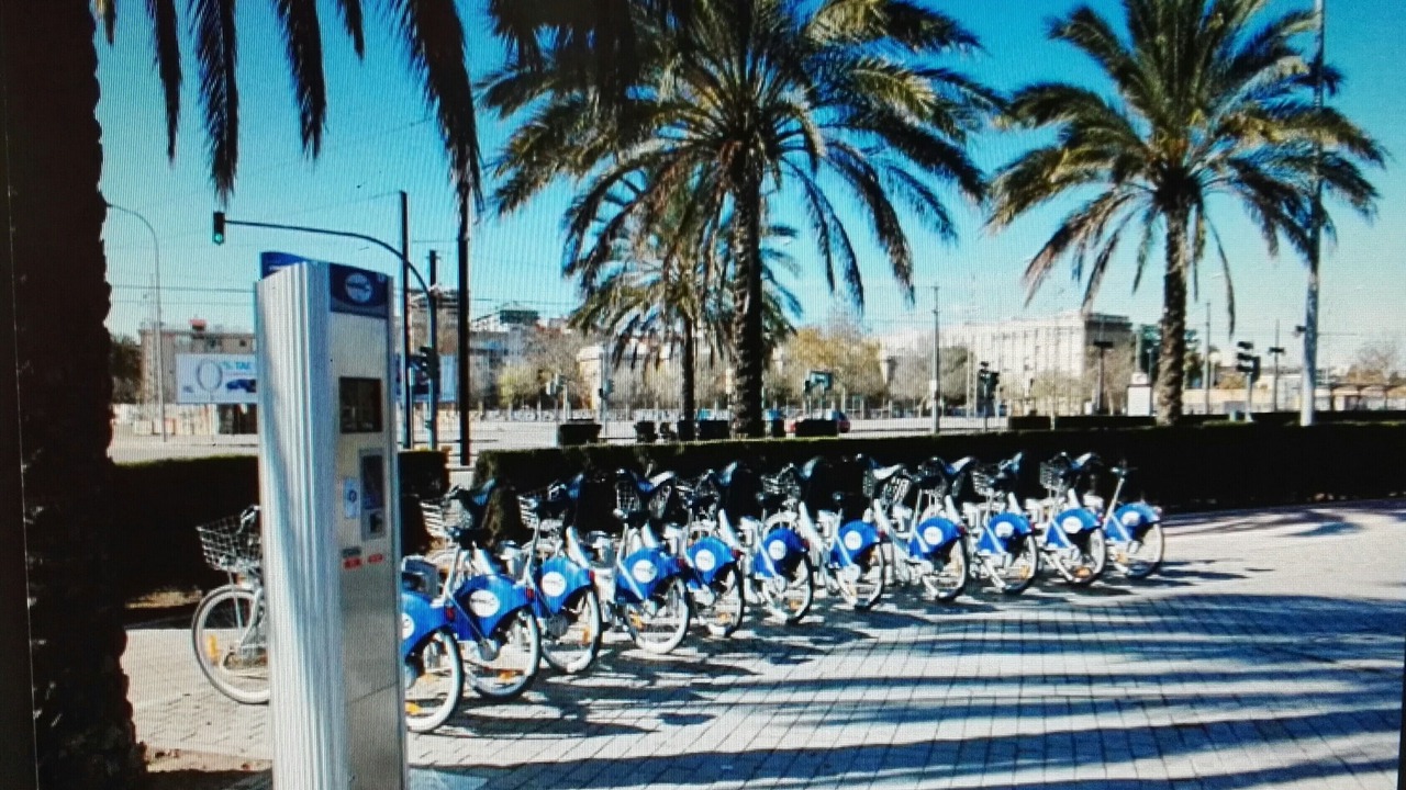 Photo of Others in L'Olivereta