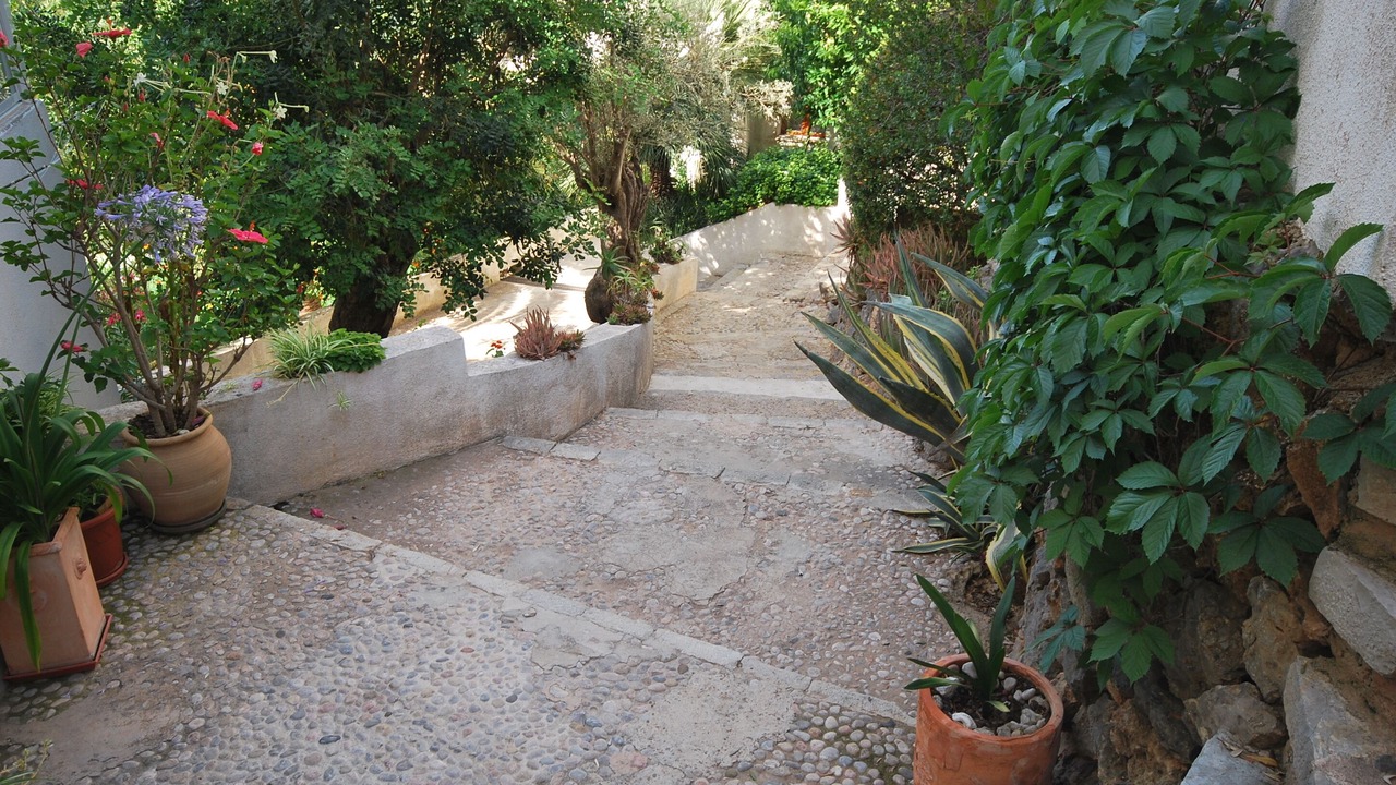Photo of Outdoor in Soller